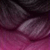 1/French Rose